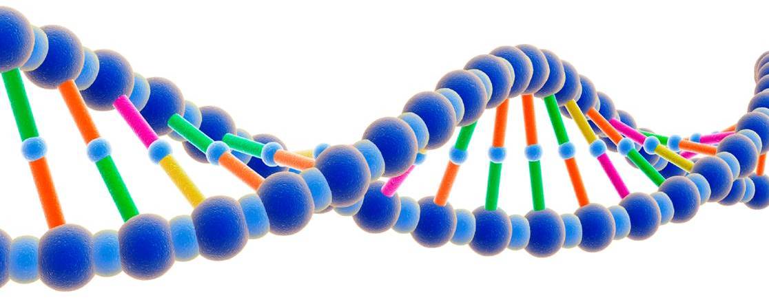 science applied coursework science applied coursework